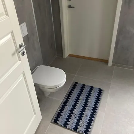 Daire Downtown Historical House With Renovated