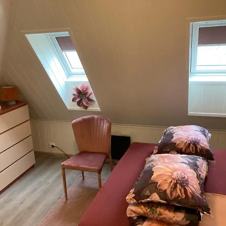 Downtown Historical House With Renovated Free P Near Lejlighed