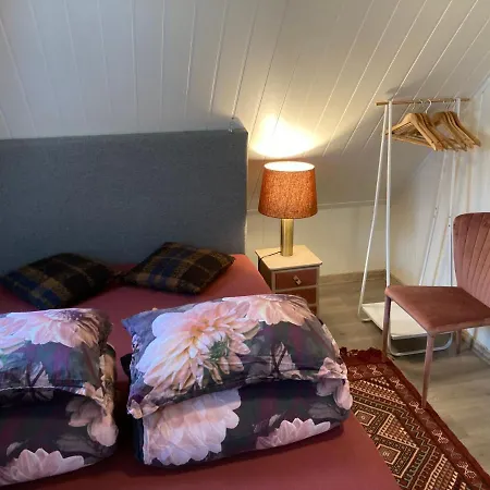Daire Downtown Historical House With Renovated