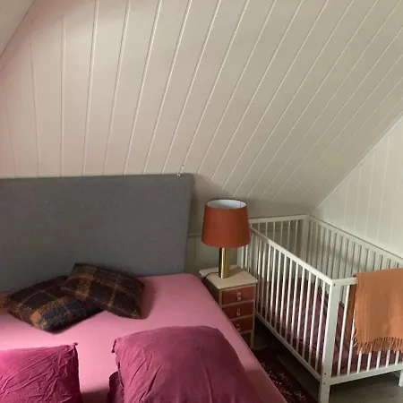 Downtown Historical House With Renovated Apartment Alesund