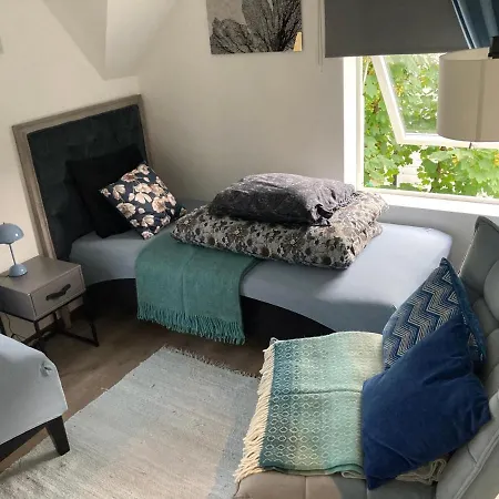 Downtown Historical House With Renovated Daire *