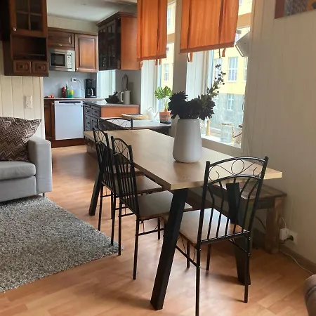 Apartment Downtown Historical House With Renovated Free P Near Alesund