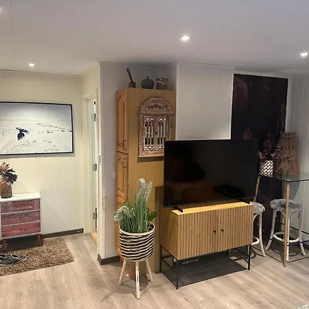 Downtown Historical House With Renovated Daire Ålesund