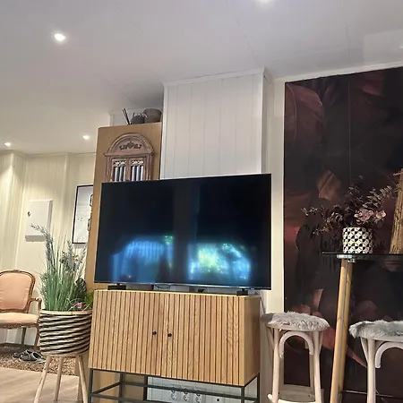Downtown Historical House With Renovated Apartment