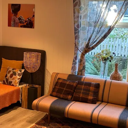 Downtown Historical House With Renovated Apartment