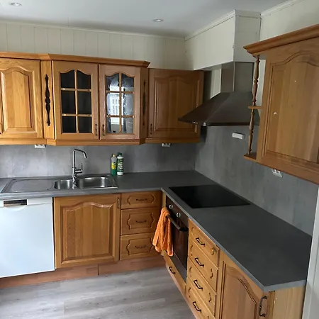 Downtown Historical House With Renovated Apartment