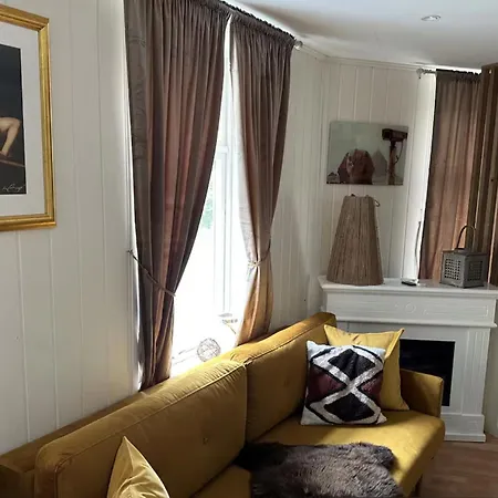 Apartment Downtown Historical House With Renovated Free P Near Alesund