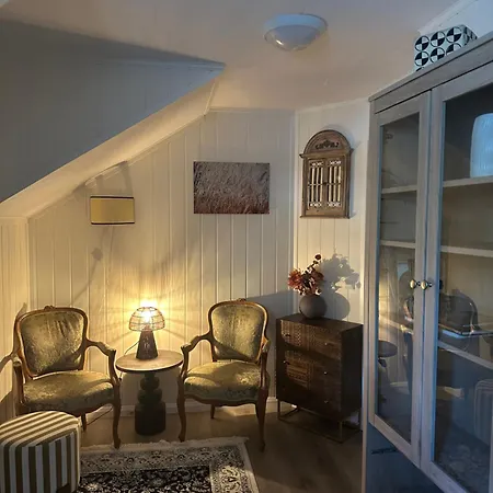 Lejlighed Downtown Historical House With Renovated Free P Near *