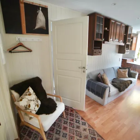 Downtown Historical House With Renovated Free P Near Appartement Ålesund