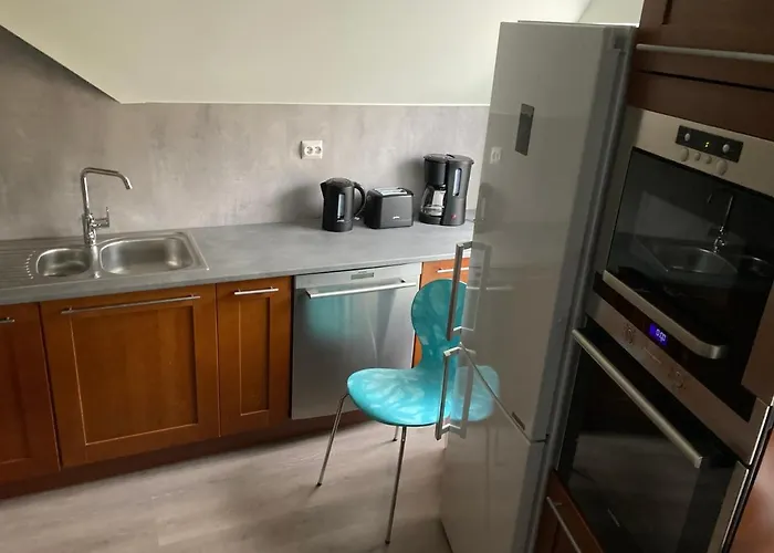 Appartement Downtown Historical House With Renovated Free P Near