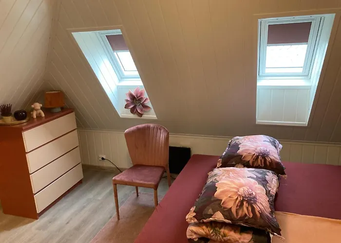 Downtown Historical House With Renovated Free P Near Appartement