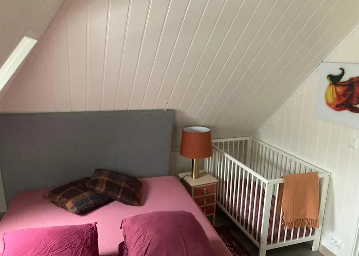 Downtown Historical House With Renovated Free P Near Appartement Ålesund