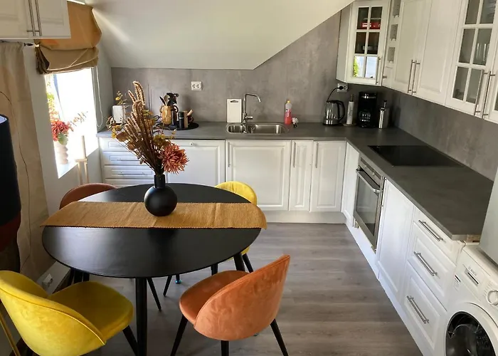 Downtown Historical House With Renovated Free P Near Apartment Alesund