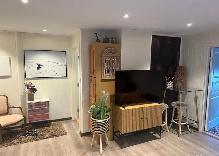 Downtown Historical House With Renovated Free P Near Appartement Ålesund