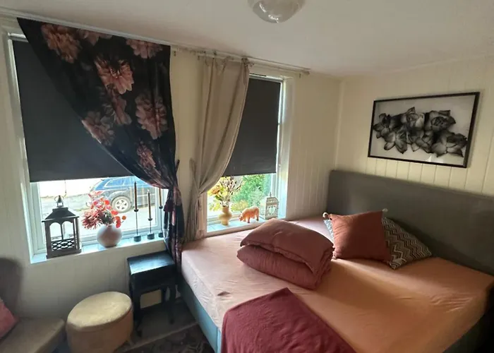 Downtown Historical House With Renovated Free P Near