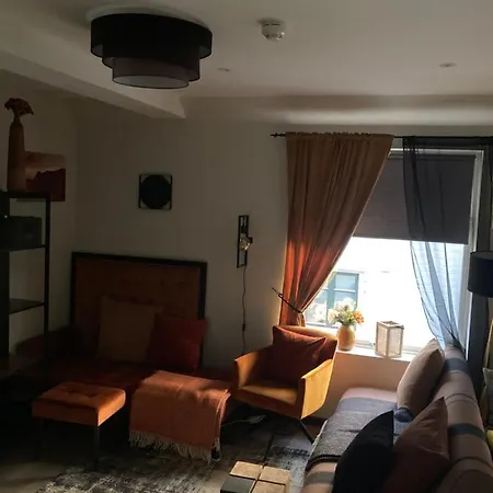 Downtown Historical House With Renovated Free P Near Appartamento Ålesund
