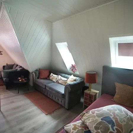 Downtown Historical House With Renovated Free P Near Alesund