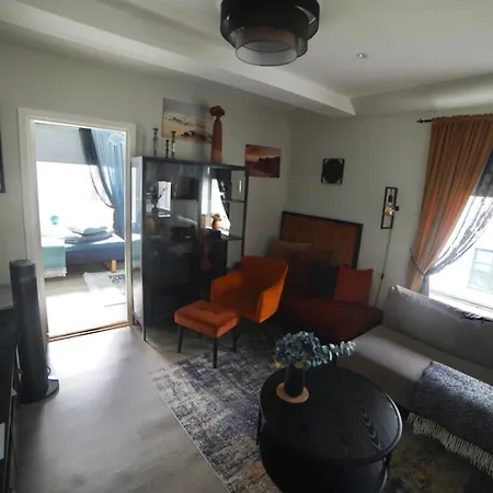 Downtown Historical House With Renovated Free P Near Apartment